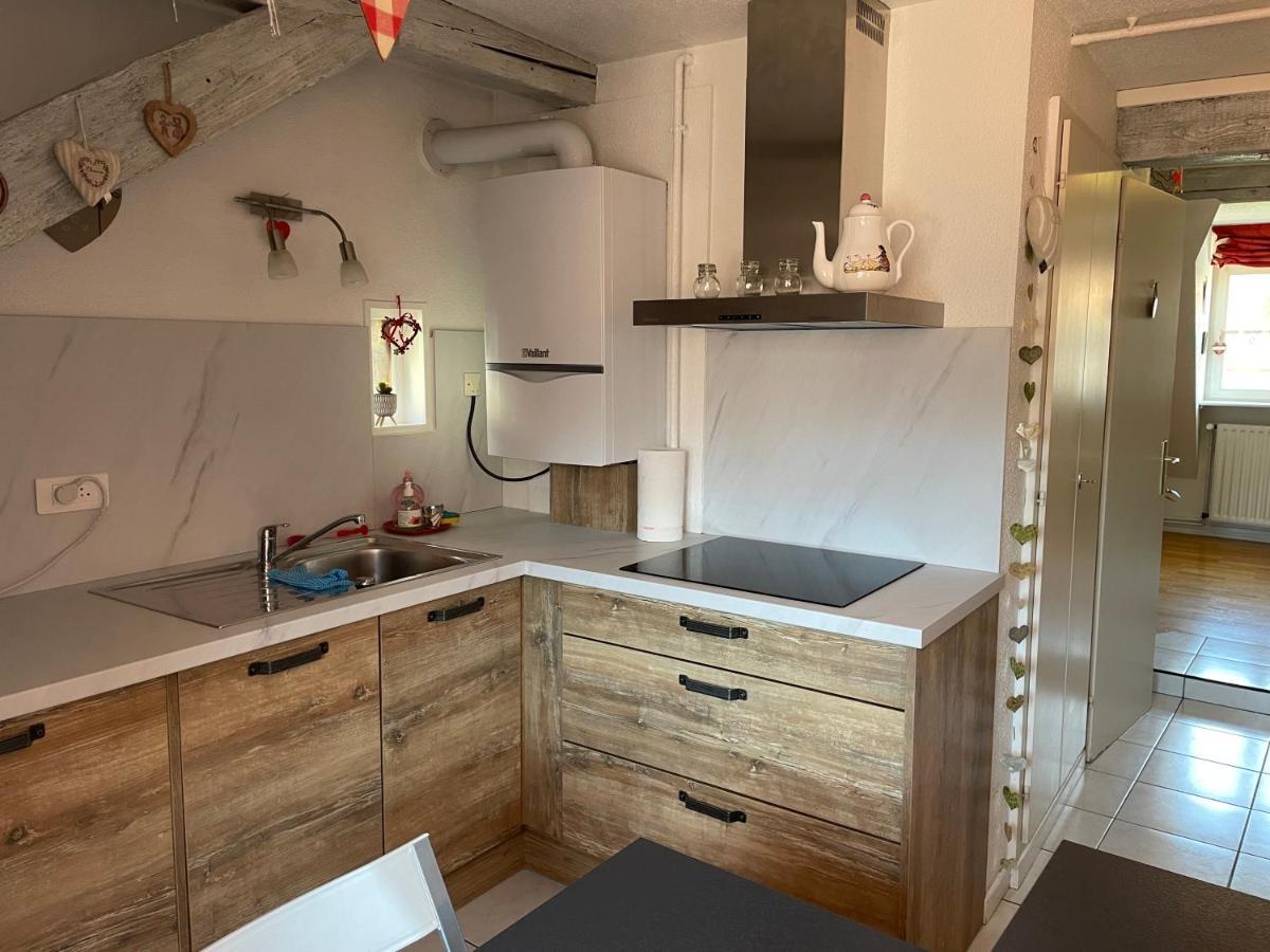 Aux Petits Coeurs De Colmar Petite Venise Apartment ภายนอก รูปภาพ