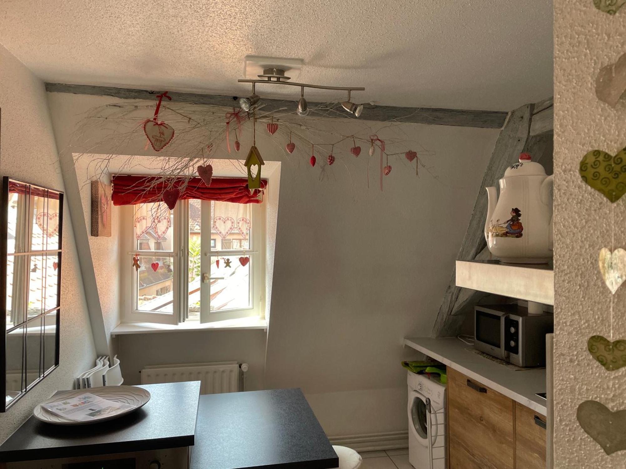 Aux Petits Coeurs De Colmar Petite Venise Apartment ภายนอก รูปภาพ
