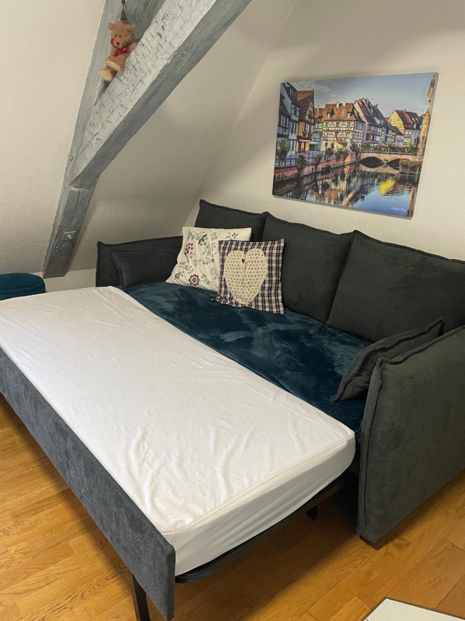 Aux Petits Coeurs De Colmar Petite Venise Apartment ภายนอก รูปภาพ